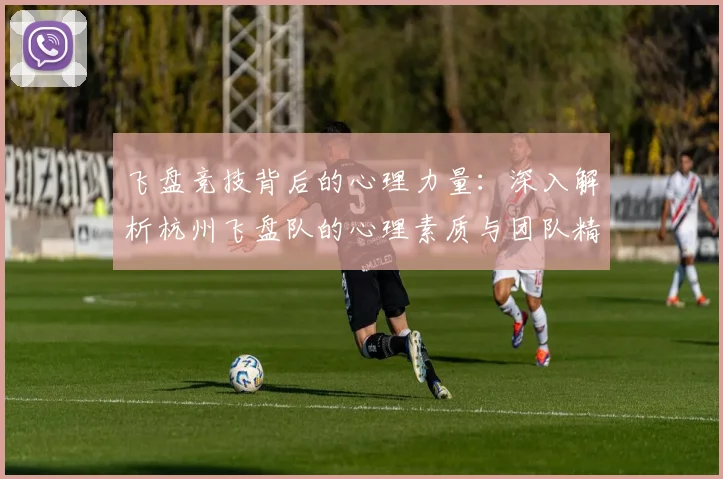 飞盘竞技背后的心理力量：深入解析杭州飞盘队的心理素质与团队精神